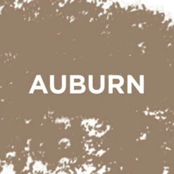 L'Oreal Lu0027Oréal 24H Brow Filling Triangular Pencil 5.23 Auburn -Plein 1071952 5